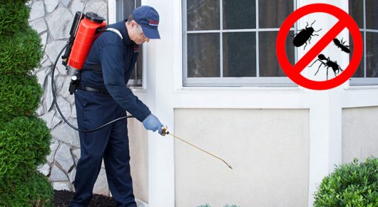 Çatalpınar Hamam Böceği İlaçlama böcek ilaçlama ve haşere kontrolü — ilaclama-tr.com